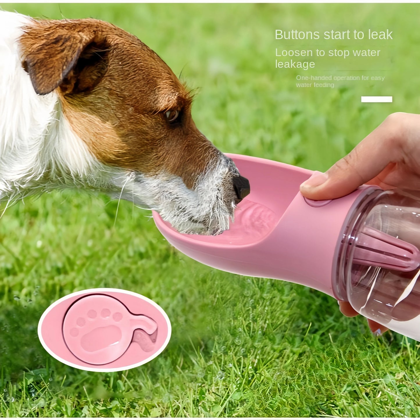 2 In1 Dog Feeder+water